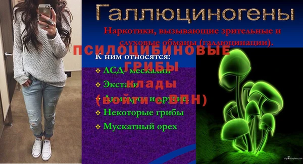 хмурый Бородино